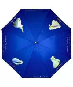 Suuri sateenvarjo