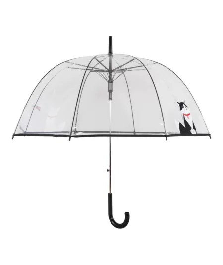 Kissa ja punainen panta, läpinäkyvä sateenvarjo