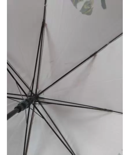 Jack Russell -terrieri sateenvarjo